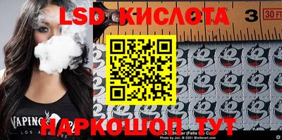 индика Бердск
