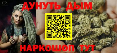 индика Бердск