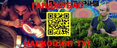 индика Бердск