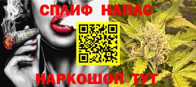 индика Бердск