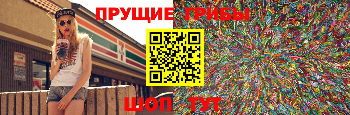 Псилоцибиновые грибы мицелий Йошкар-Ола